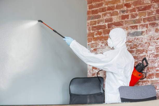 Best Indoor Air Quality Assessment  in Hazard, KY