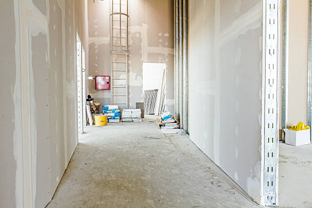 Best Real Estate Mold Inspection  in Hazard, KY